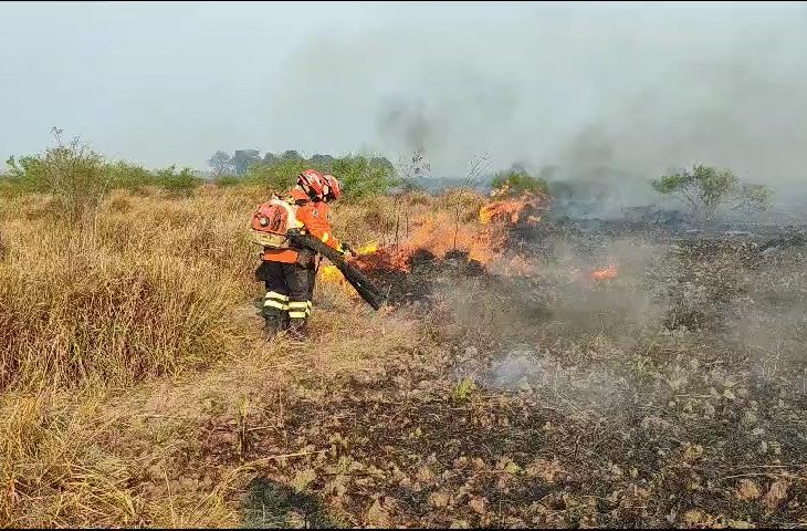 Na divisa do Mato Grosso com o Mato Grosso do Sul foi necessário realizar a travessia do rio Correntes com uso de uma balsa”, disse a tenente-coronel Tatane Inoue, chefe do CPA