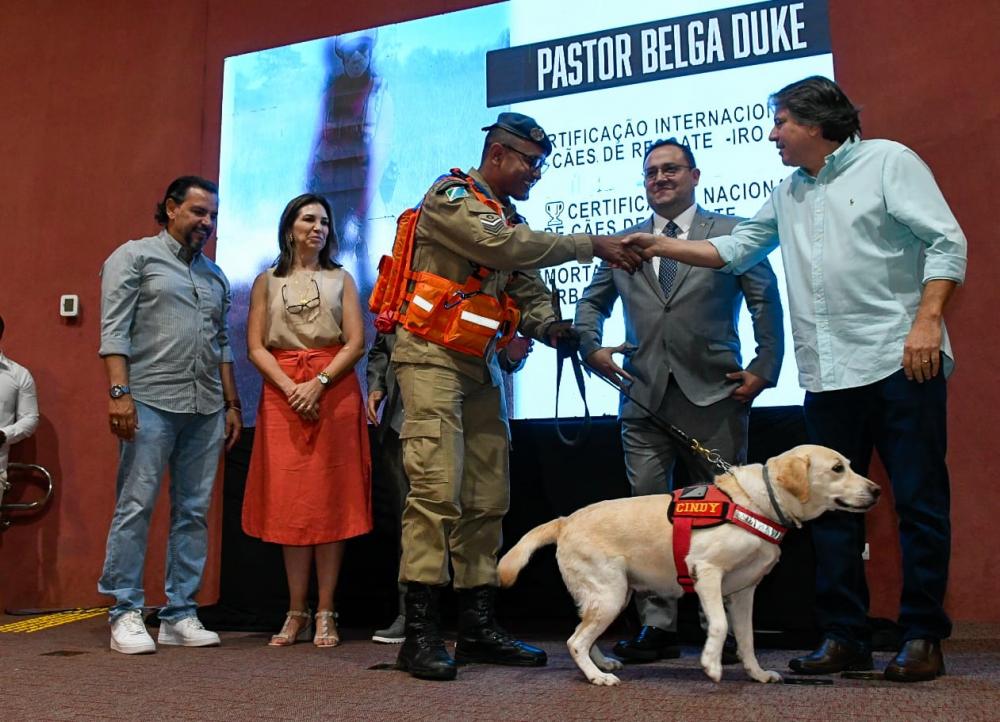 O sistema a ser usado no sistema de cadastramento dos animais continua em fase de desenvolvimento. Vagas serão abertas para as ONGs e para a sociedade