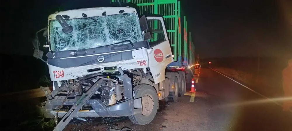 Um acidente ocorrido na MS-338, no km 295, sentido Santa Rita do Pardo, deixou um motorista gravemente ferido - Foto: Elenize Oliveira, Jornal Cenário MS
