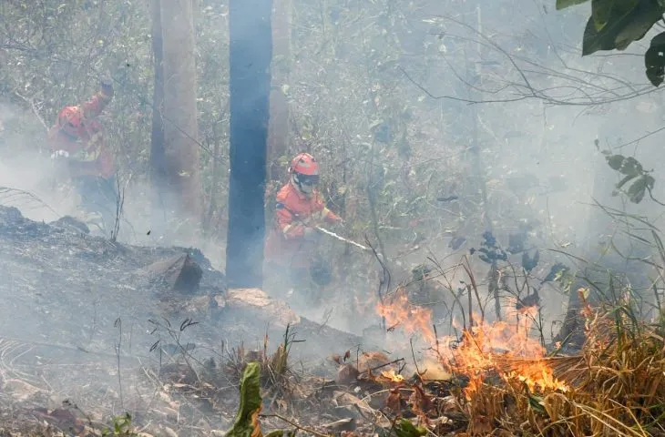 Os bombeiros concentraram trabalho na margem direita da rodovia BR-262, sentido Miranda a Corumbá
