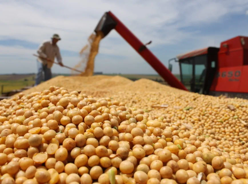 Produto Interno Bruto (PIB) do estado deve seguir crescendo em 2024, impulsionado pela safra de grãos de 2022 e 2023