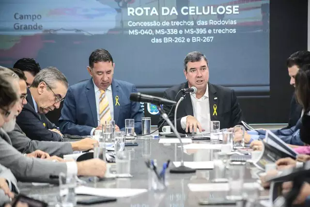 Riedel apresenta aos deputados detalhes sobre a chamada Rota da Celulose - Fotos: Marcos Maluf