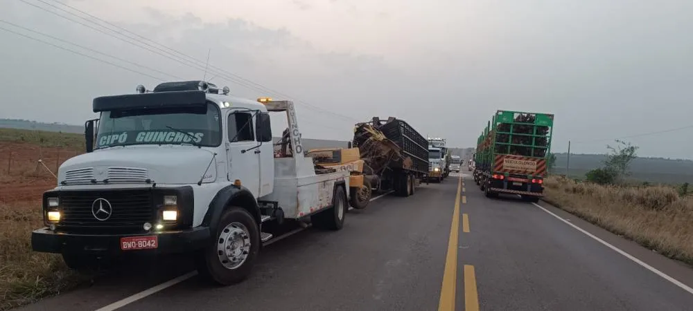 Acidente envolvendo dois caminhões na MS-338, no km 309 sentido Santa Rita do Pardo. - Foto: Jornal Cenário MS