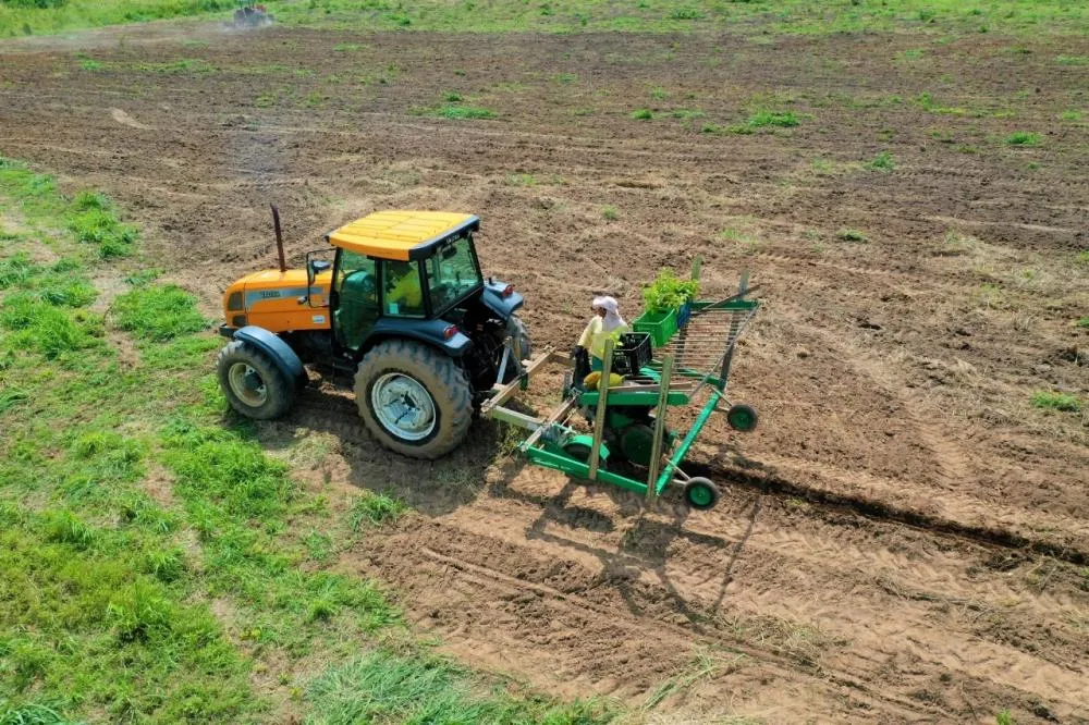 Respeito e Restauração: CESP Celebra o Dia Mundial dos Rios com Plantio de 2,1 milhões de Mudas