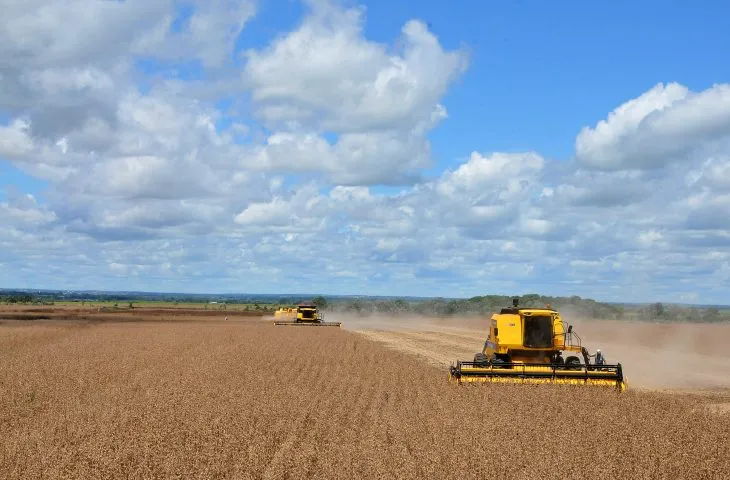 Desse total, já haviam sido plantados 1.440 hectares até a terceira semana de outubro.