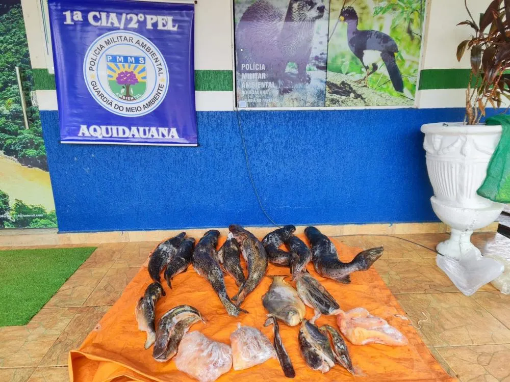 Foto: PMA/Divulgação