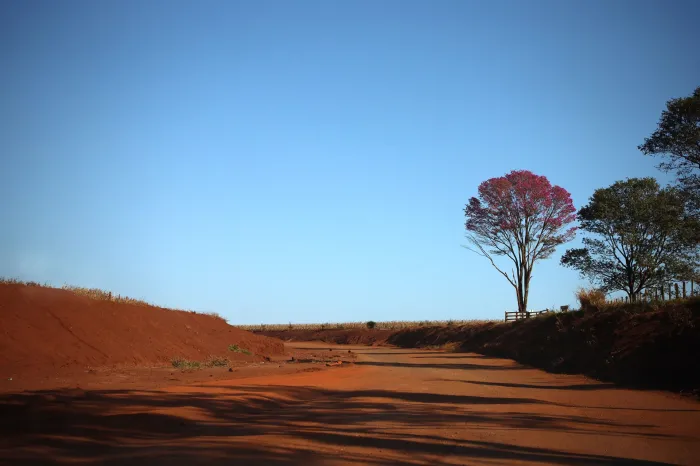 Foto: Reprodução/Secom Mato Grosso do Sul