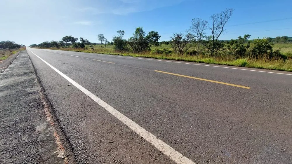 MS-338, trecho entre Bataguassu e Santa Rita do Pardo - Foto: Elenize Oliveira