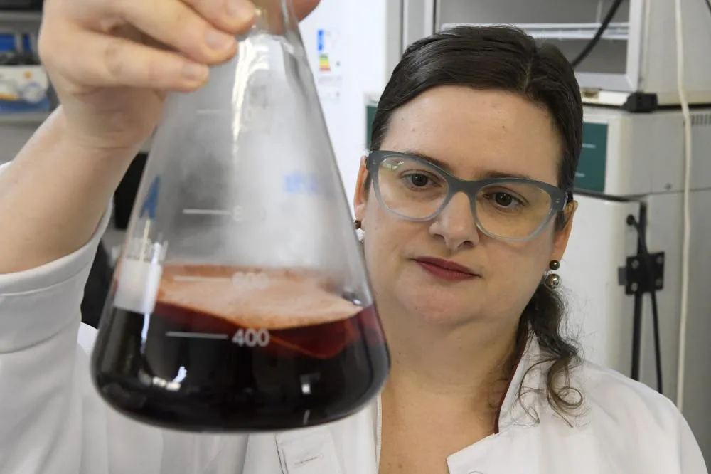 MS ocupa o 3° lugar no cenário nacional em número de empreendimentos inovadores em relação à sua população