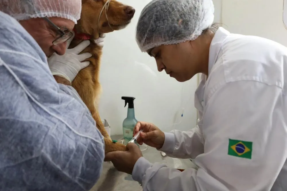 O principal objetivo da cooperação é a execução de ações de castração“ e conscientização 