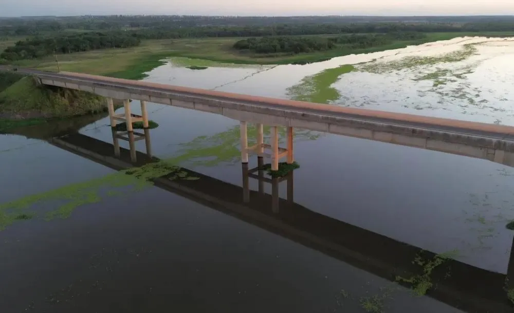 Grande quantidade de vegetação aquática é registrada no Rio Pardo